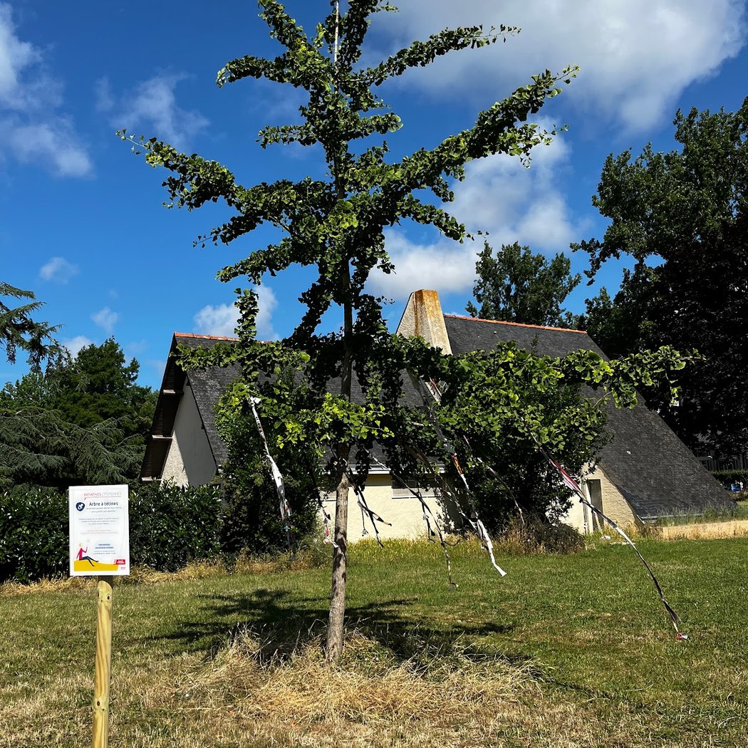 Arbre à tétines 2
