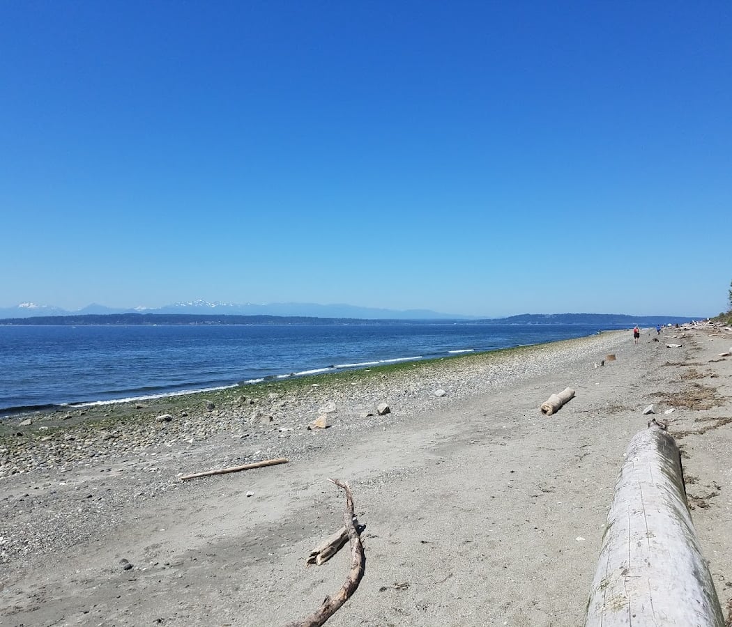 Beach Naturalist Program 3