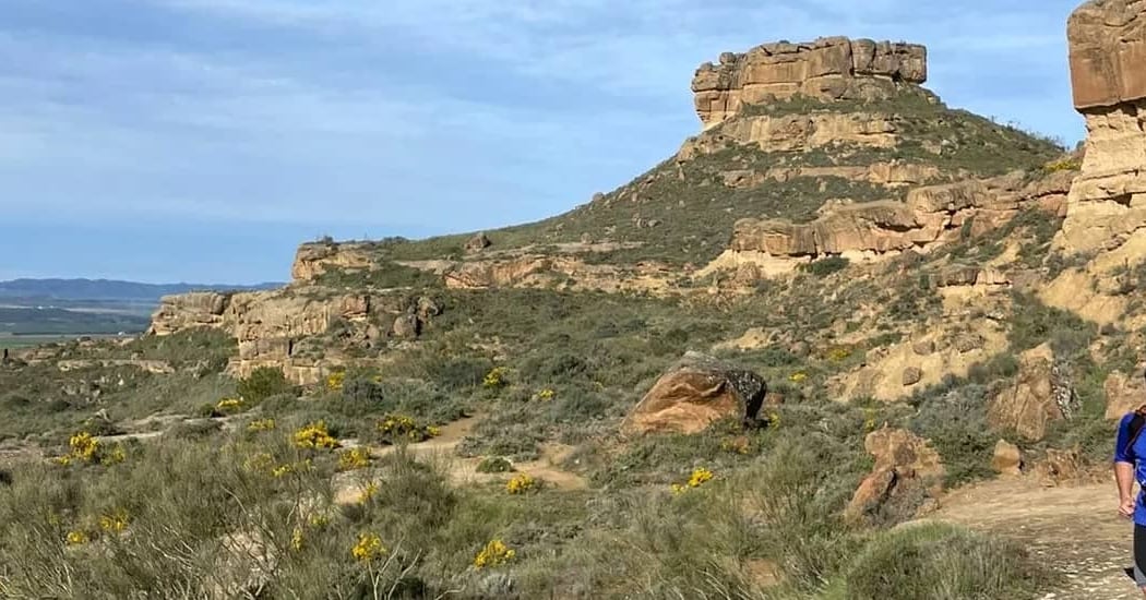 Trail de Los Torrollones 2026 1