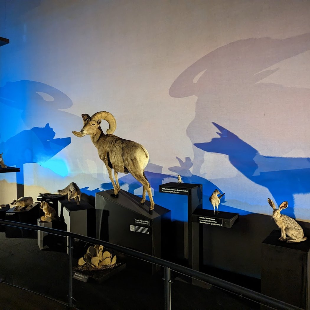 Nevada State Museum, Las Vegas 3
