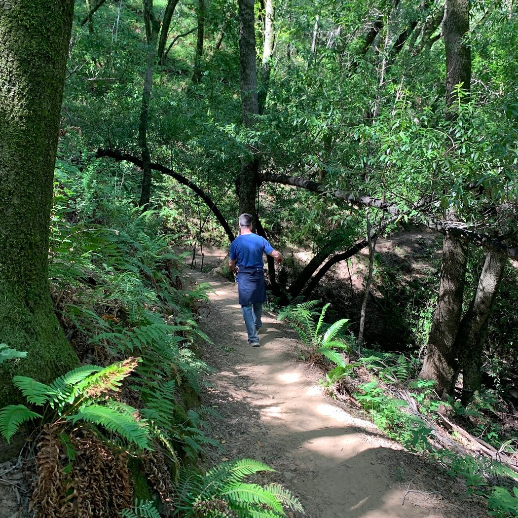 King Mountain Loop Trail 1
