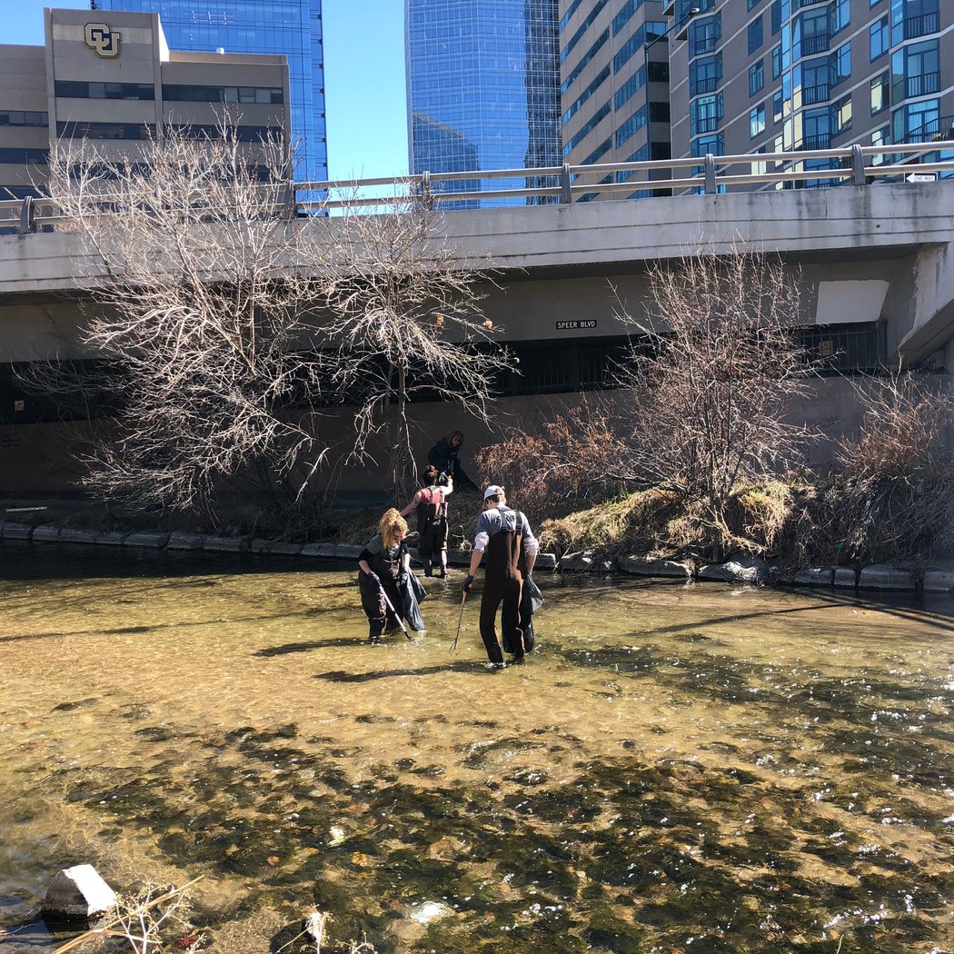 Cherry Creek Trail Clean-Up 3