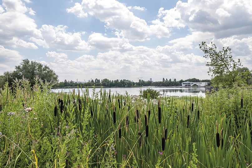 Lac des Chanteraines 1