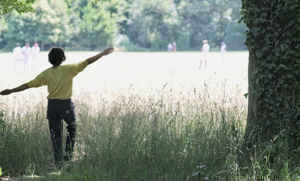 Ceci est le début d'une grande forêt 2