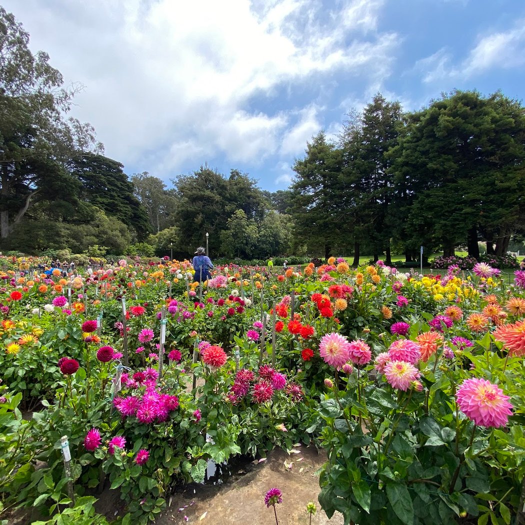 American History in Golden Gate Park 5