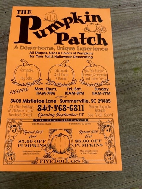 The Pumpkin Patch at Mistletoe Lane 1