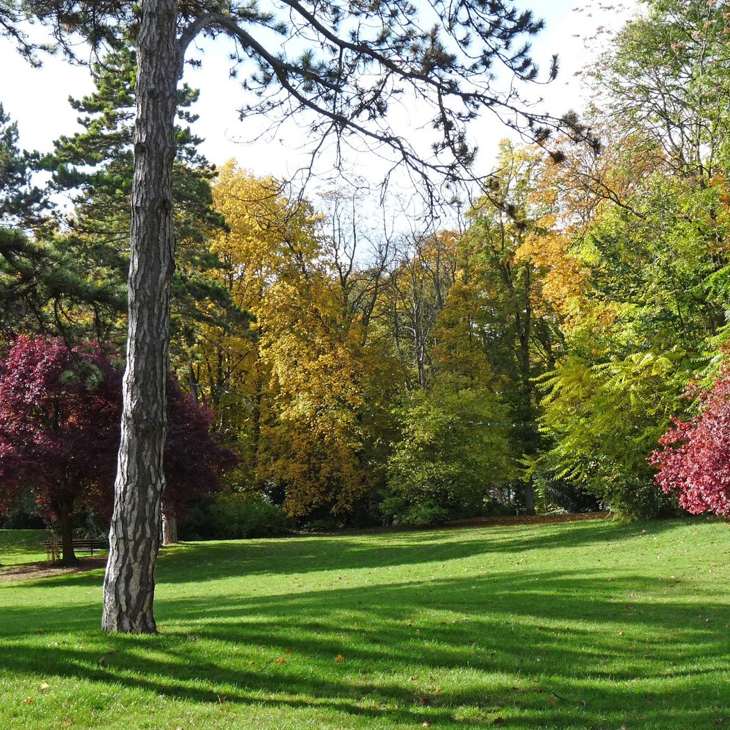 Parc de Champagne 1