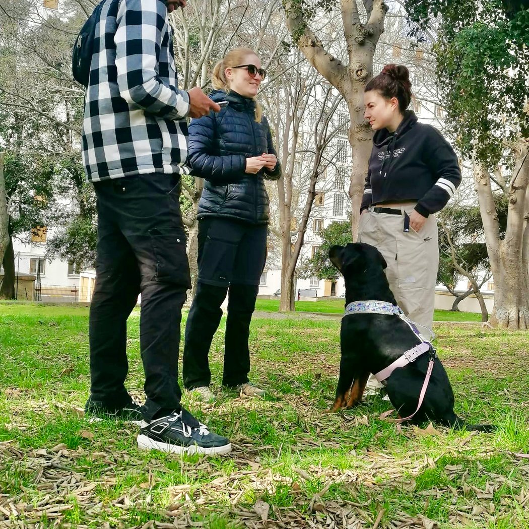 Les Chiens de Marseille 3