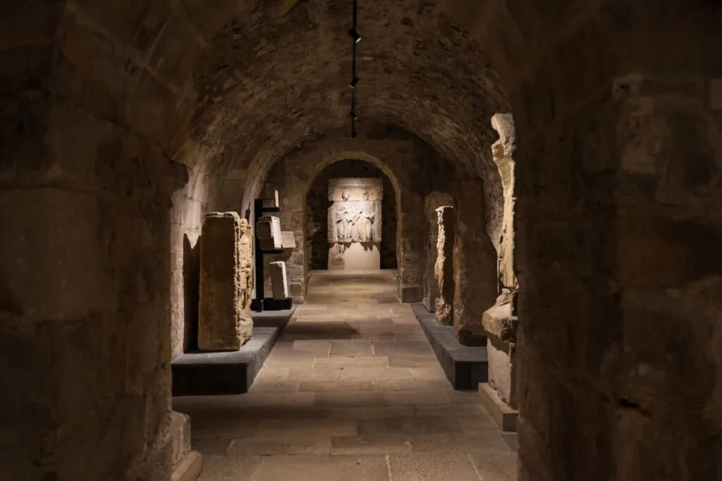 Visite guidée : Les incontournables du musée 1