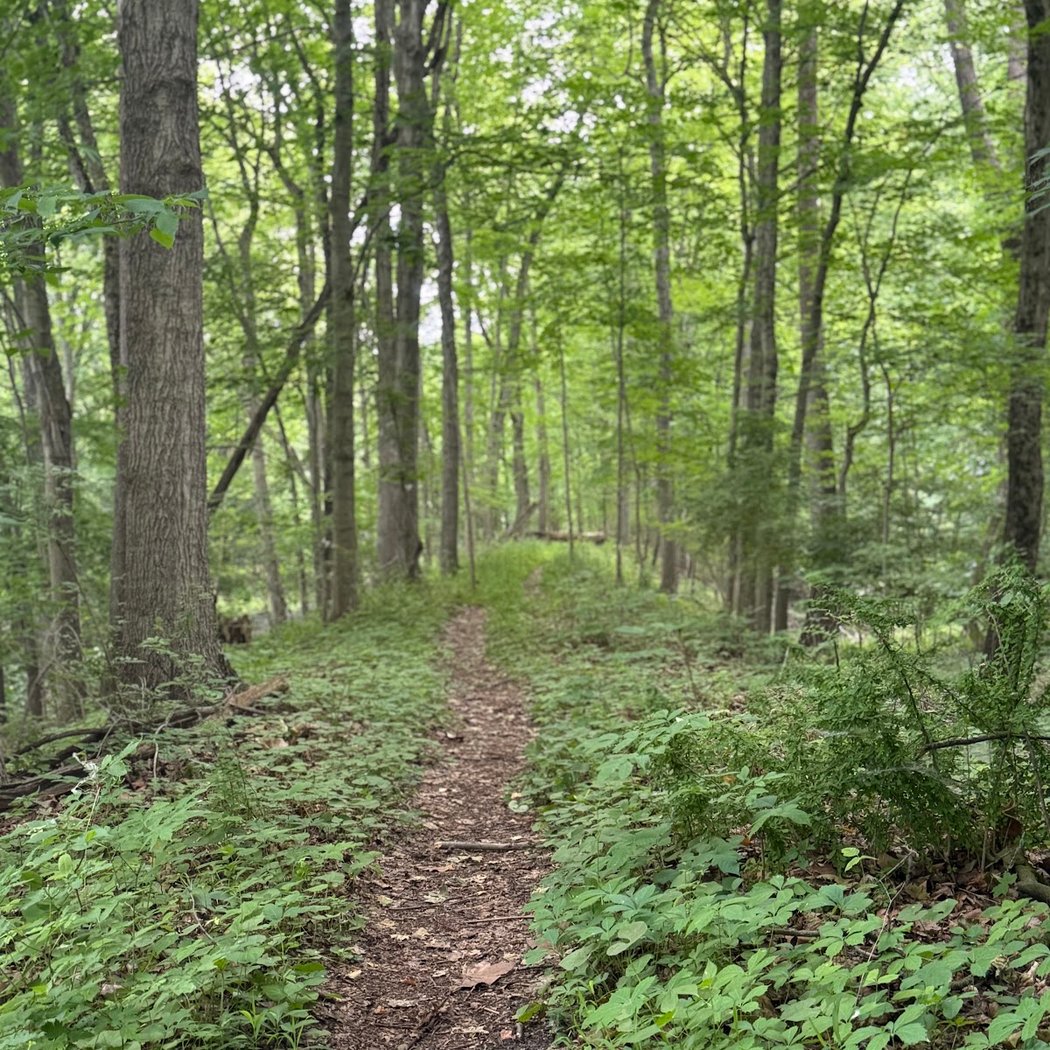 Huron River Greenway Border-to-border trailhead 1