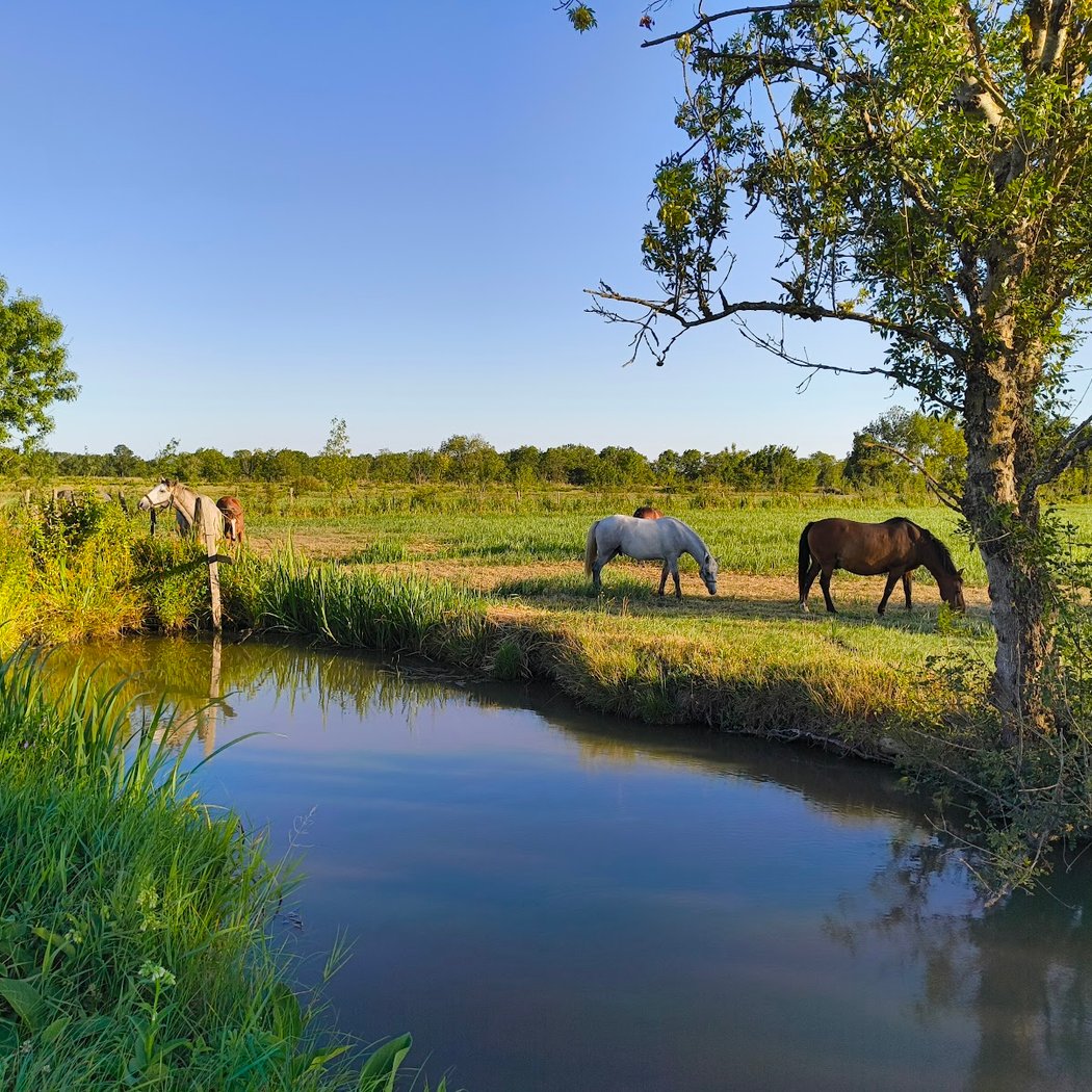 Marais Audubon 1