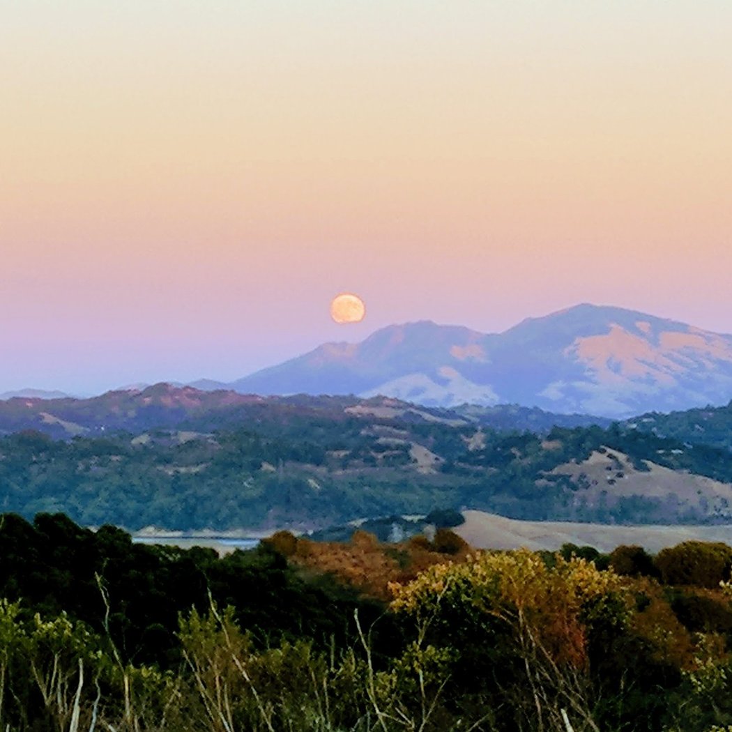 Sunset and Full Moon Hike in Tilden Park 1