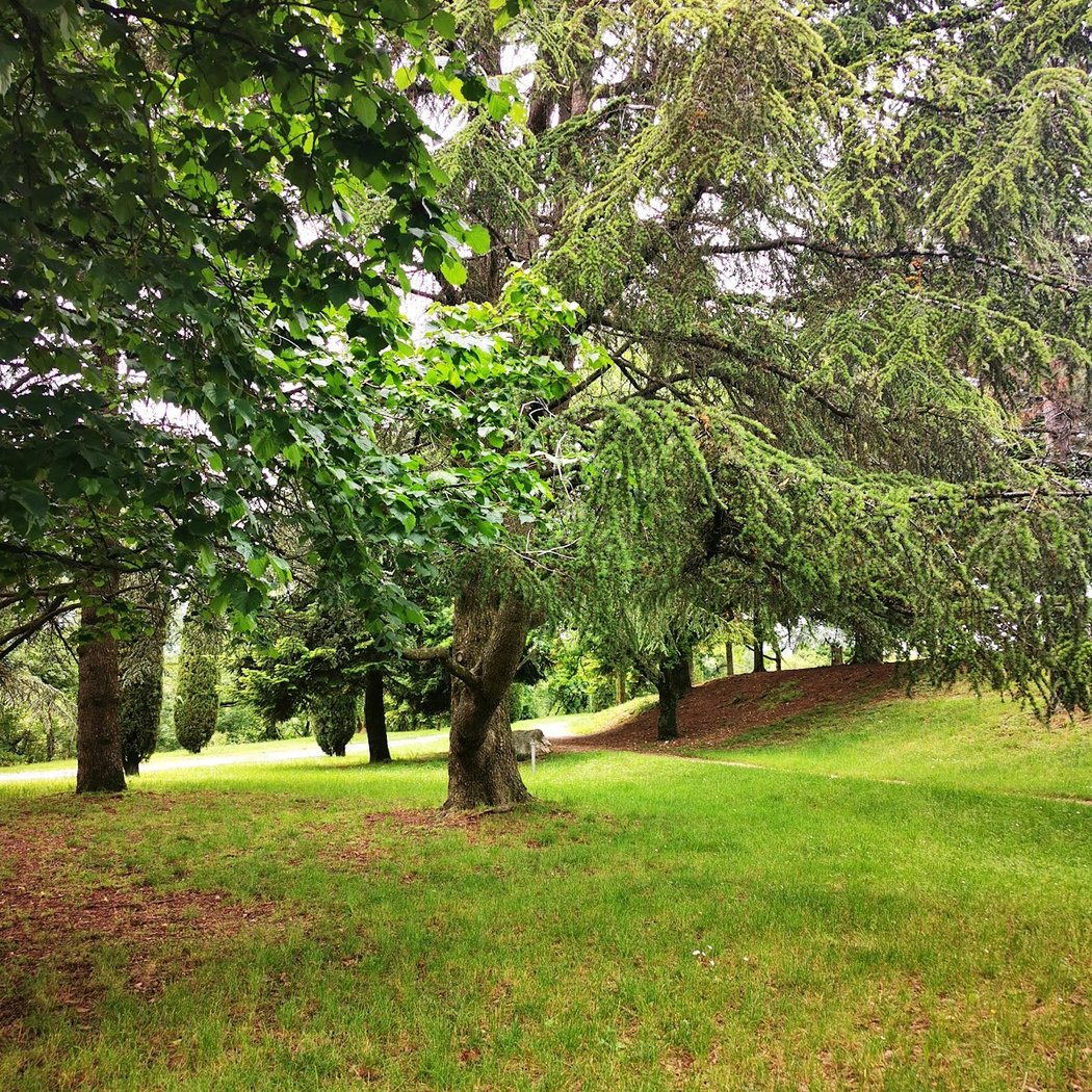Parc Piot 3