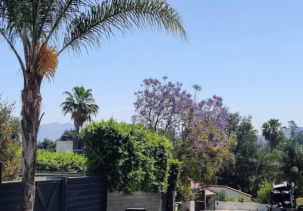 Studio City 2