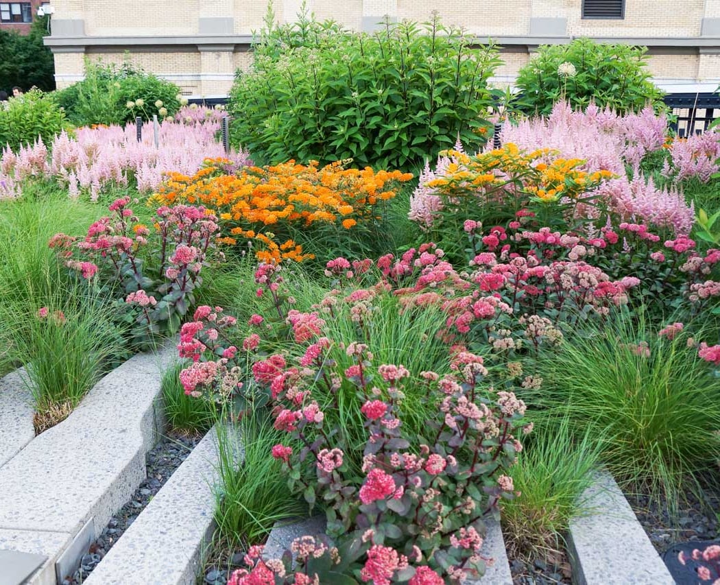 High Line Spotlight: Horticulture
