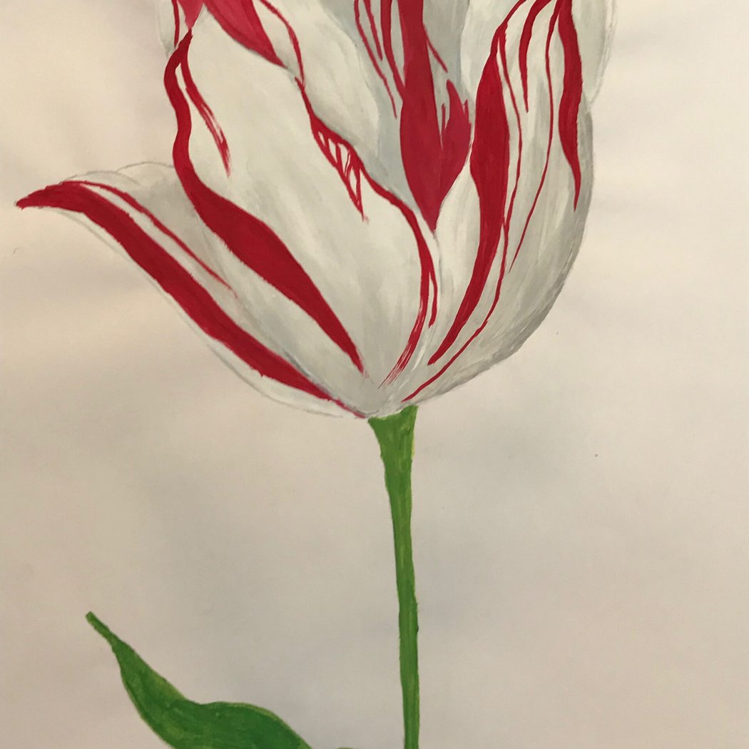 PAINT PARTY-Adults and/or Adults with Kids Ages 14+ (Tulip) 1