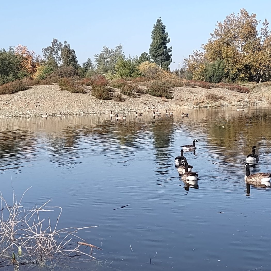 Oka Ponds 3