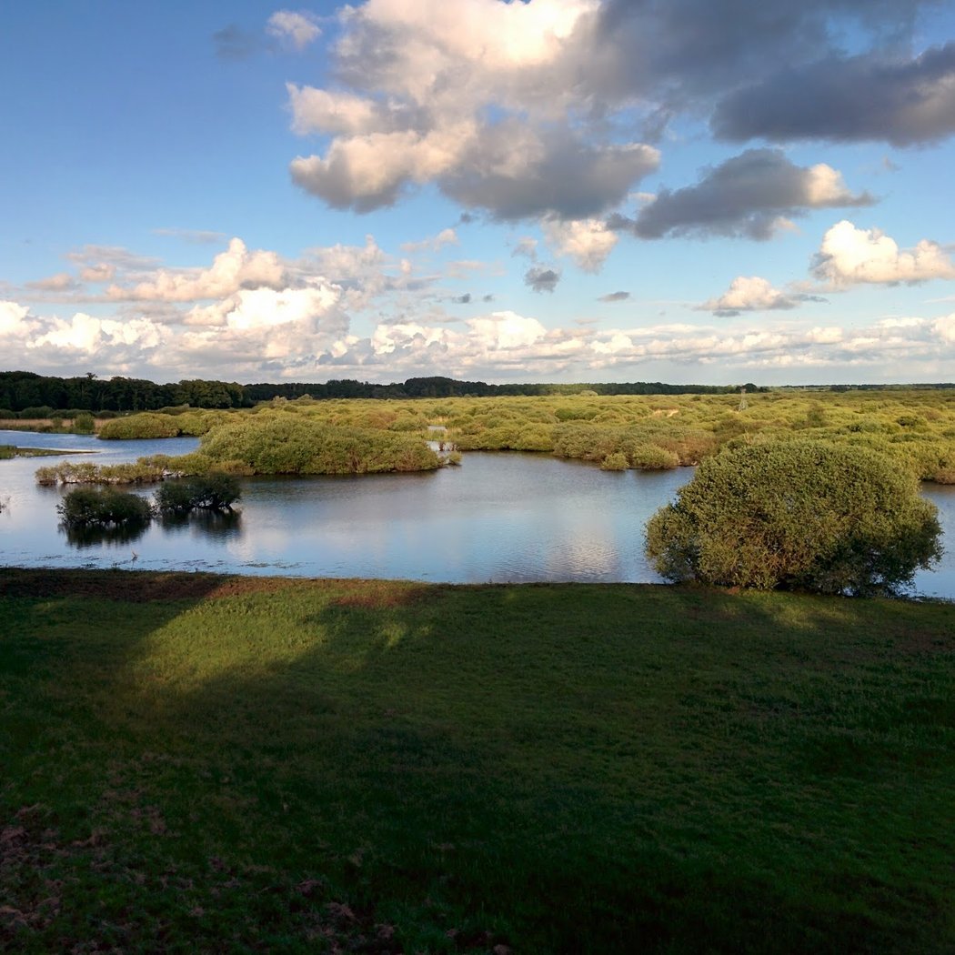 Réserve Naturelle du Lac de Grand-Lieu 2