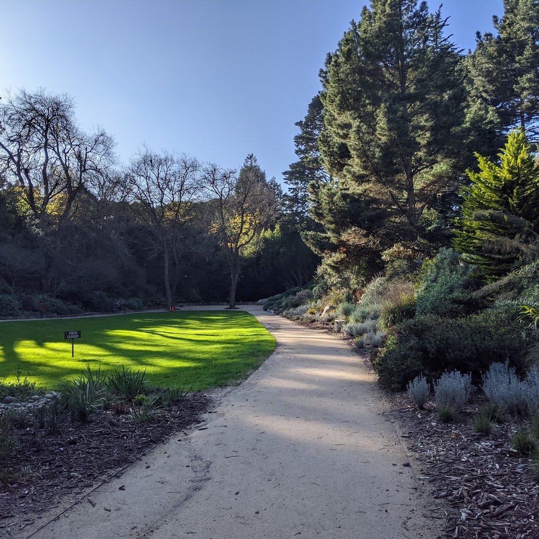 National AIDS Memorial Grove 1