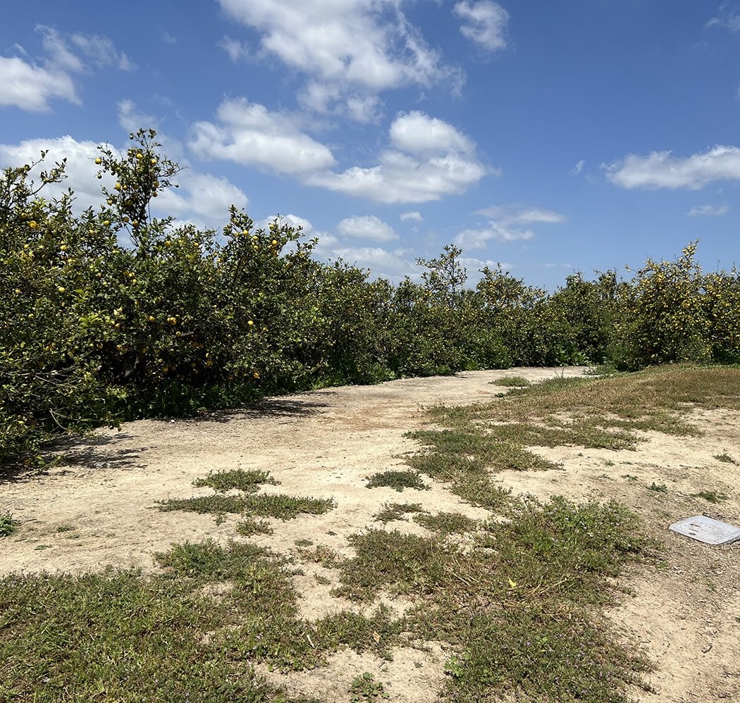 Citrus Ranch Park 3