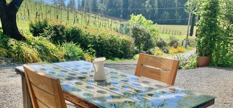 Porter Creek Vineyards 2