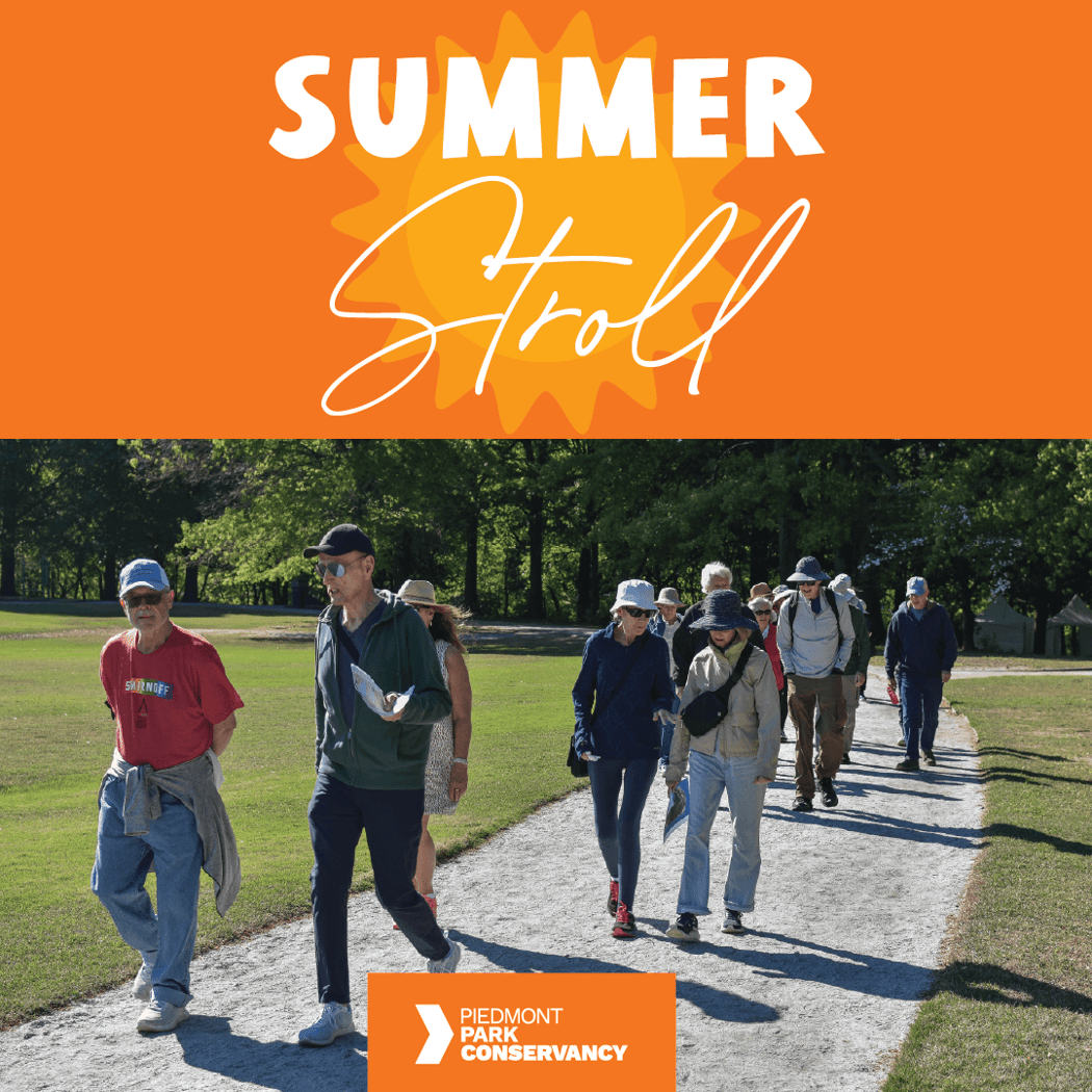 Summer Strolls 1