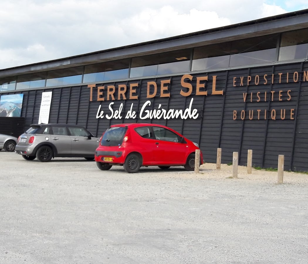 Visite - Les Oiseaux des Marais 3