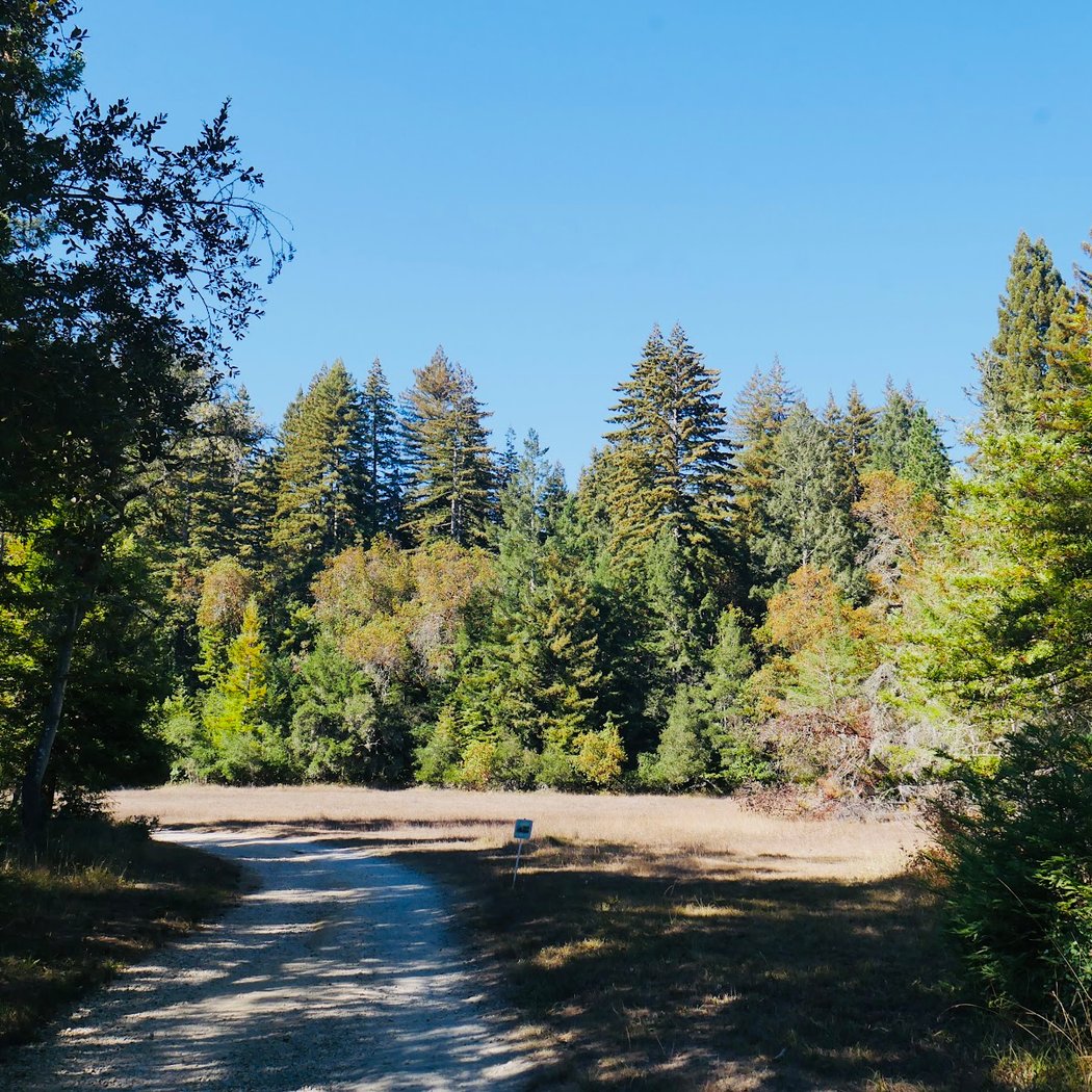 Santa Cruz Cross Country Challenge 3