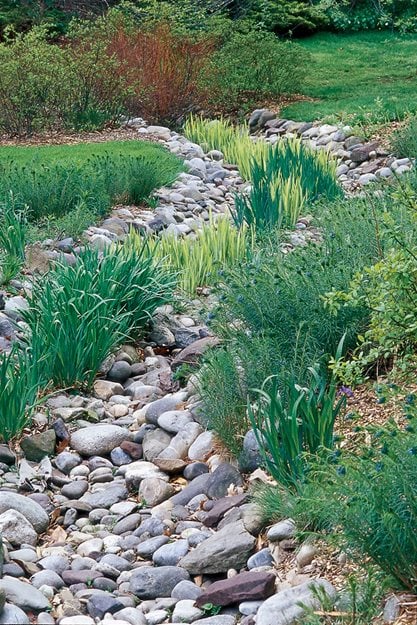 Dearborn Rain Gardens 101 Workshop 2