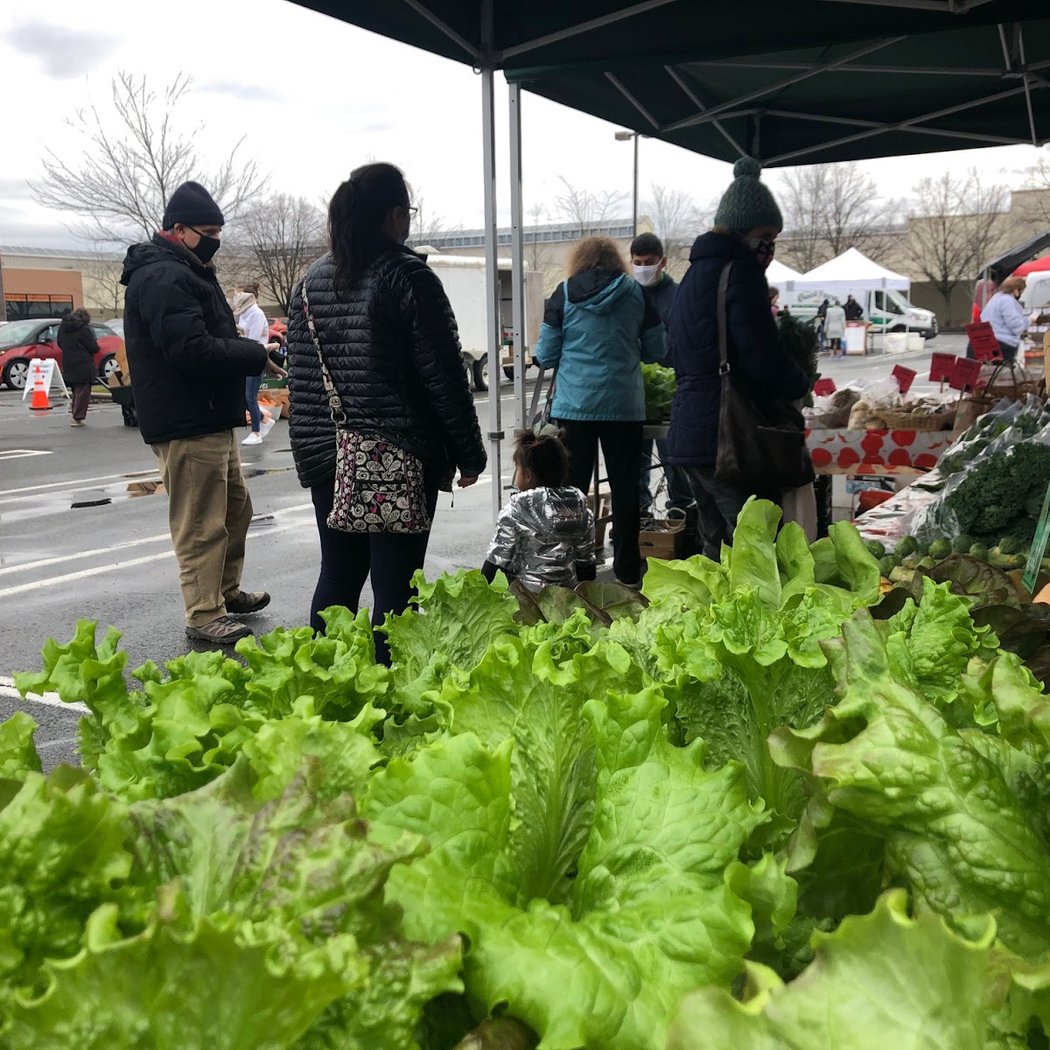 Saturday Farmers Market 2