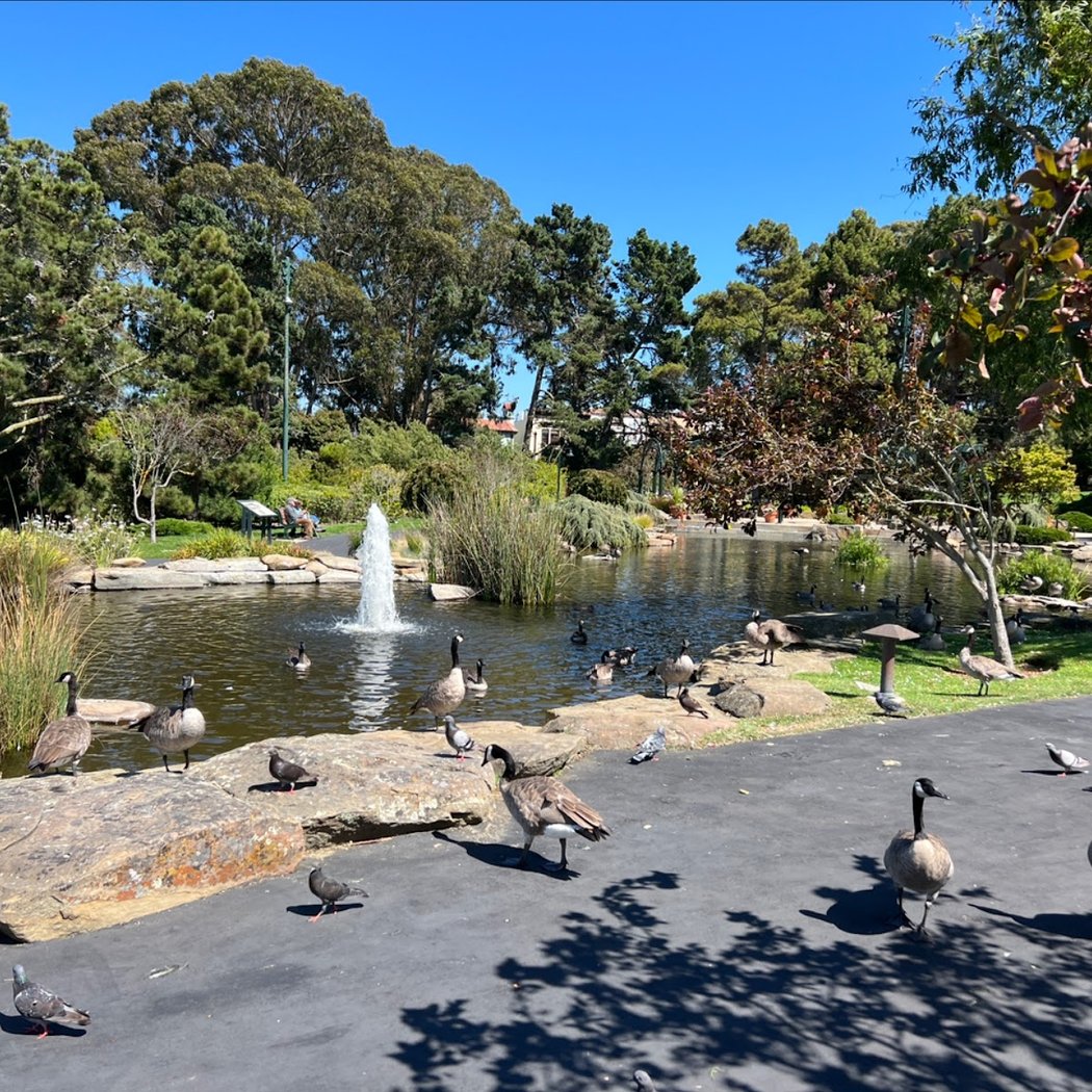 Letterman Digital Arts Center Recycled Water Pond at Lucas 2