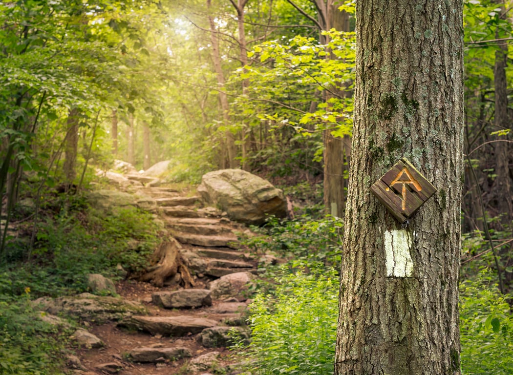 Appalachian National Scenic Trail 1