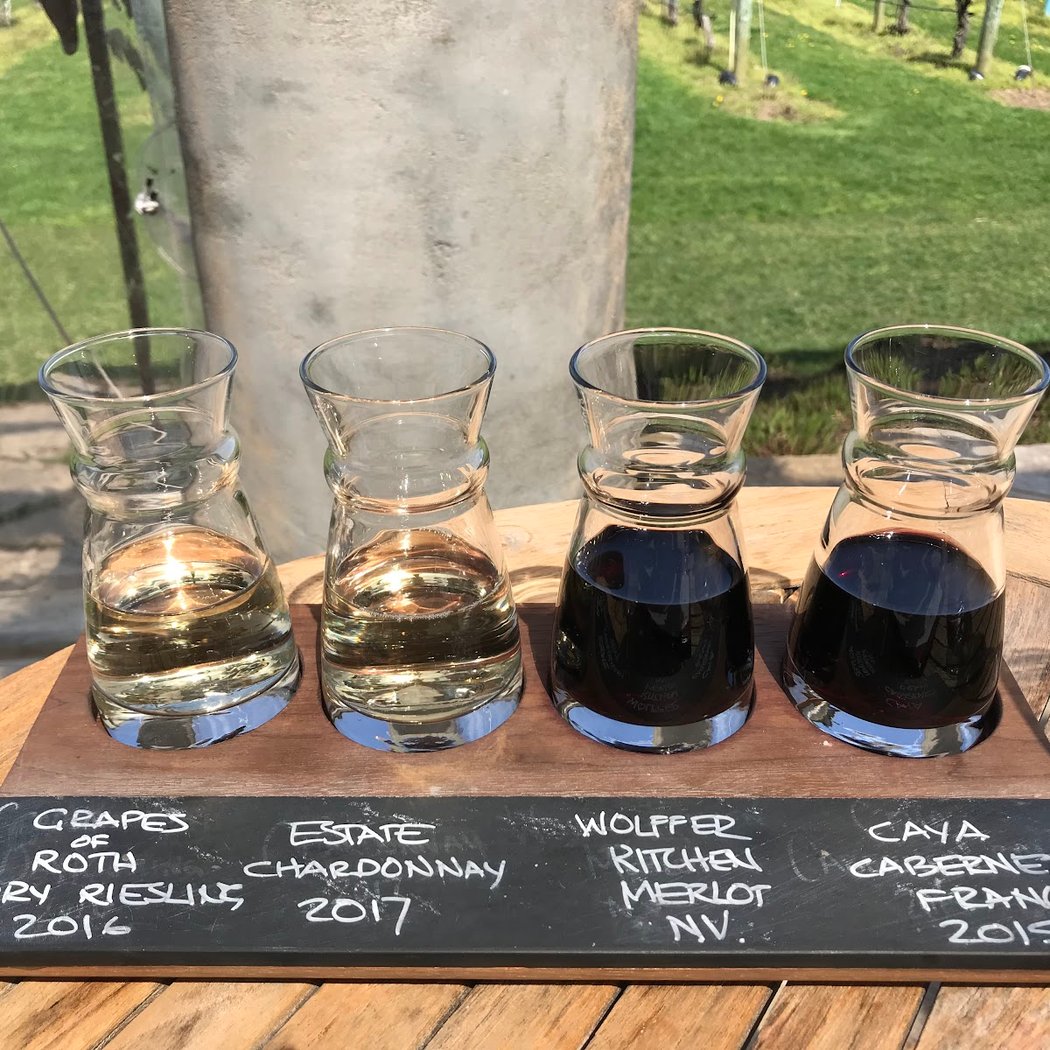 Wölffer Estate Vineyard 1