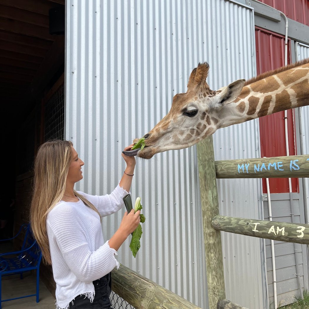 ZooWorld 1