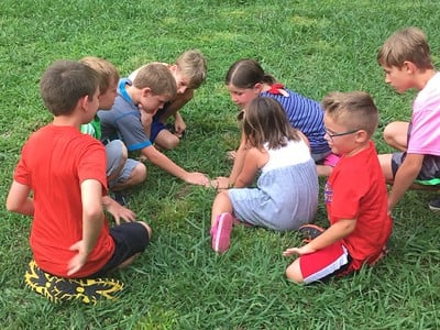 Forest Detectives 2