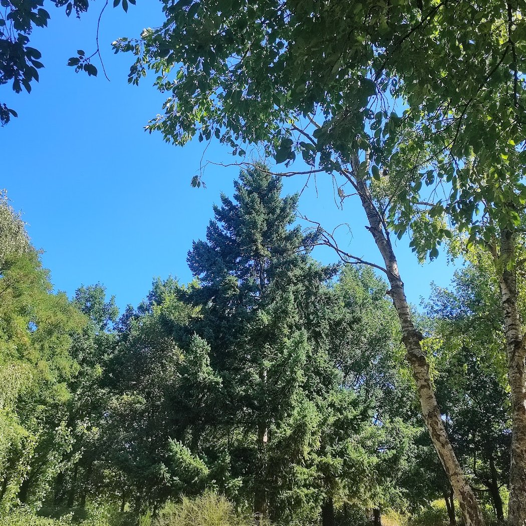 Parc des Templiers 2
