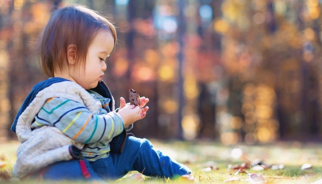 Learning for Littles 2