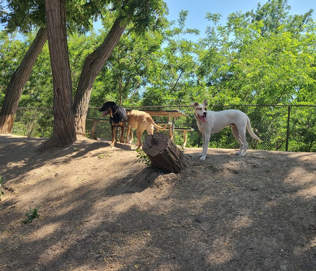 Old Creek Dog Park of Cherryland 3