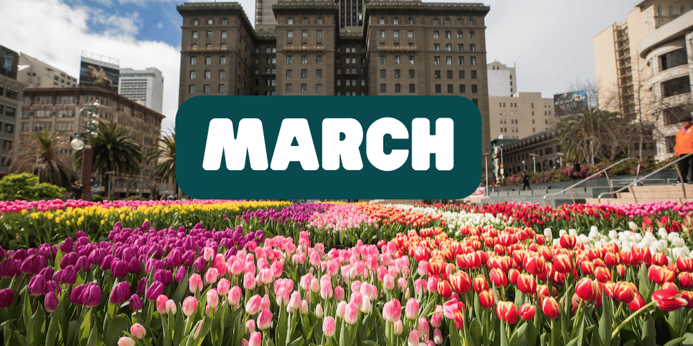 San Francisco March Festivals & Street Fairs 2026 1