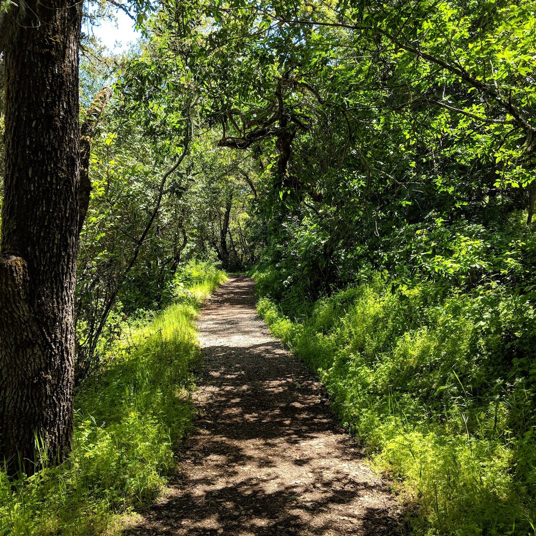 Portola Ranch Association 3