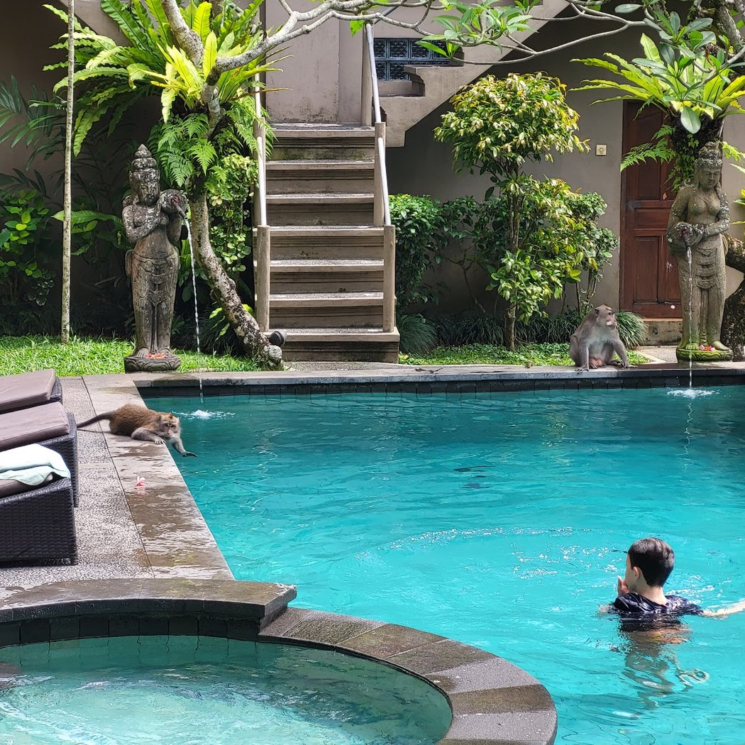 Villa Sonia Bisma 1