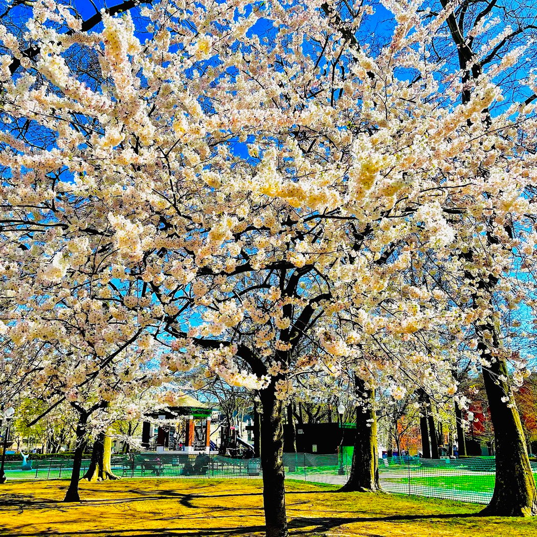 Church Square Park 1