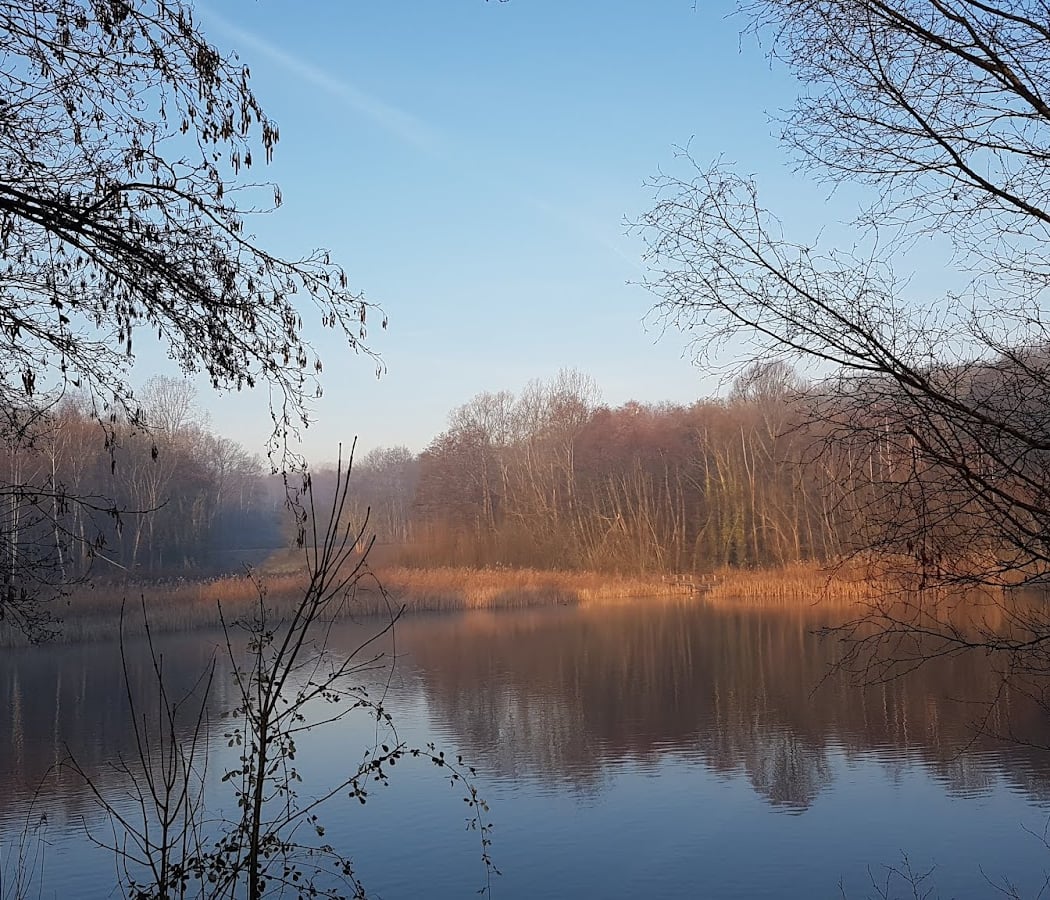 Forêt Régionale de Bondy 1