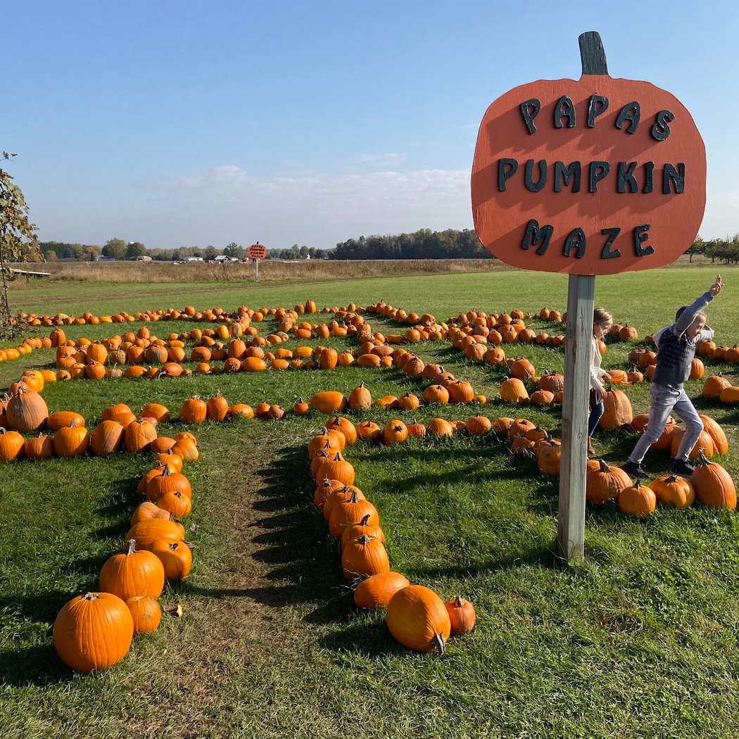 Zonta Applefest 2