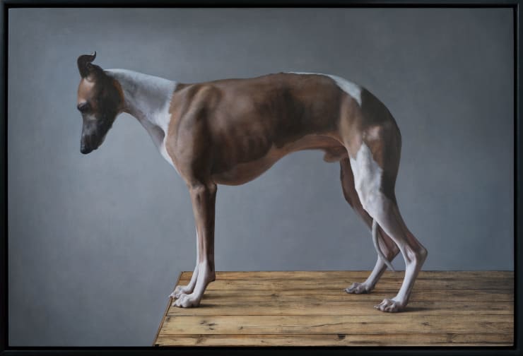 Spotlight Exhibition: Jane Beharrell 'Recent Paintings' 1