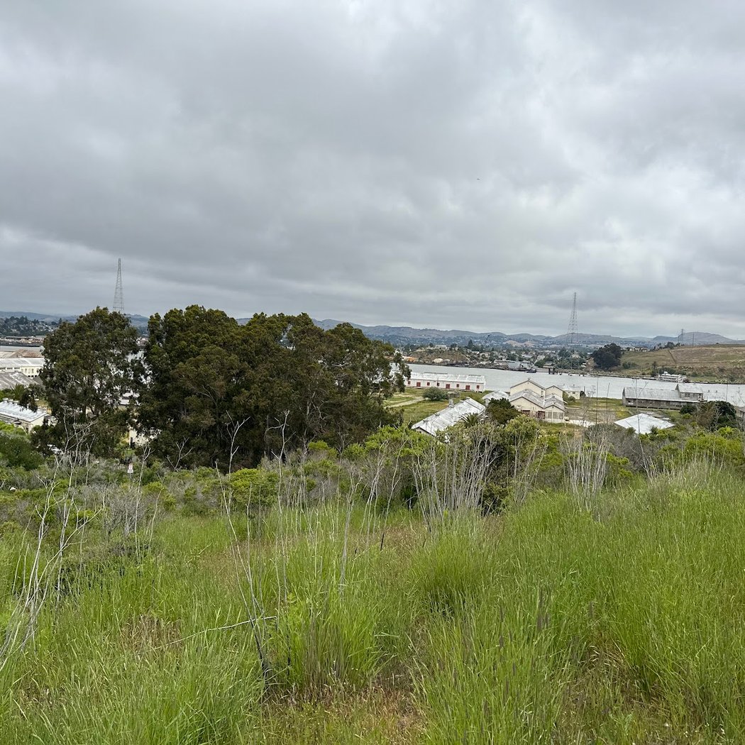 Mare Island Shoreline Heritage Preserve 3