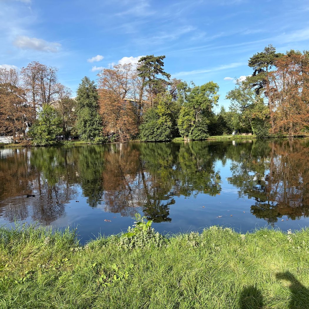 Visite guidée : Promenons-nous dans le Bois de Fontenay à Nogent