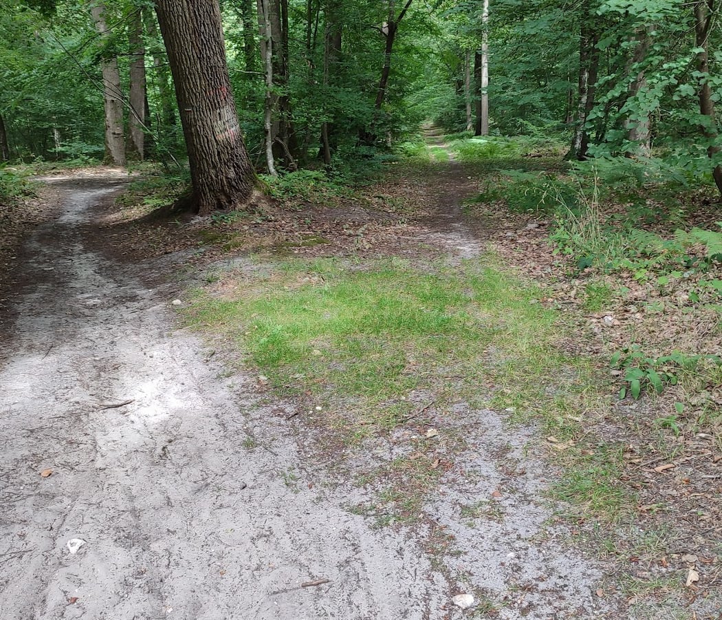 Chemin de Brenouille (sud) 2