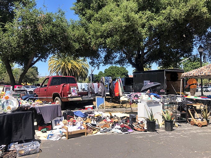 De Anza College Flea Market / DASG Flea Market 2
