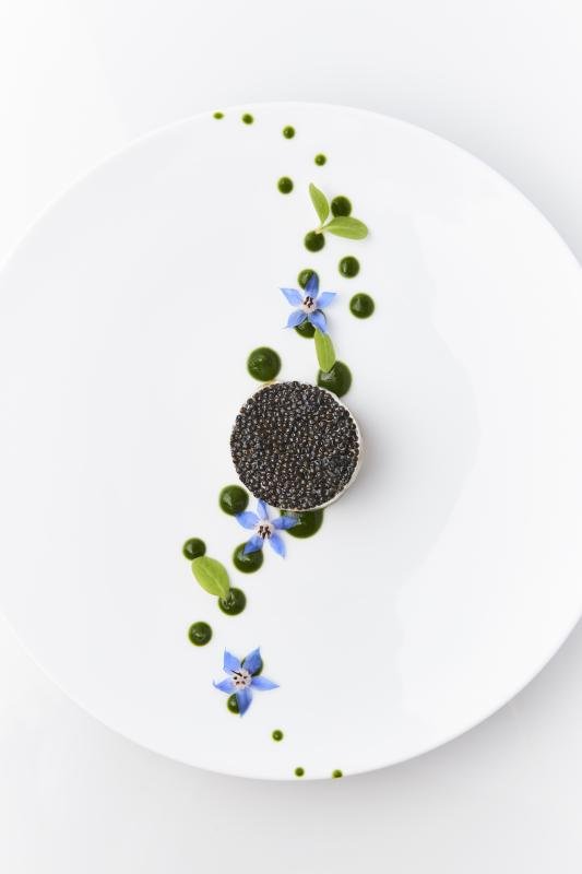 Le Chantecler 1